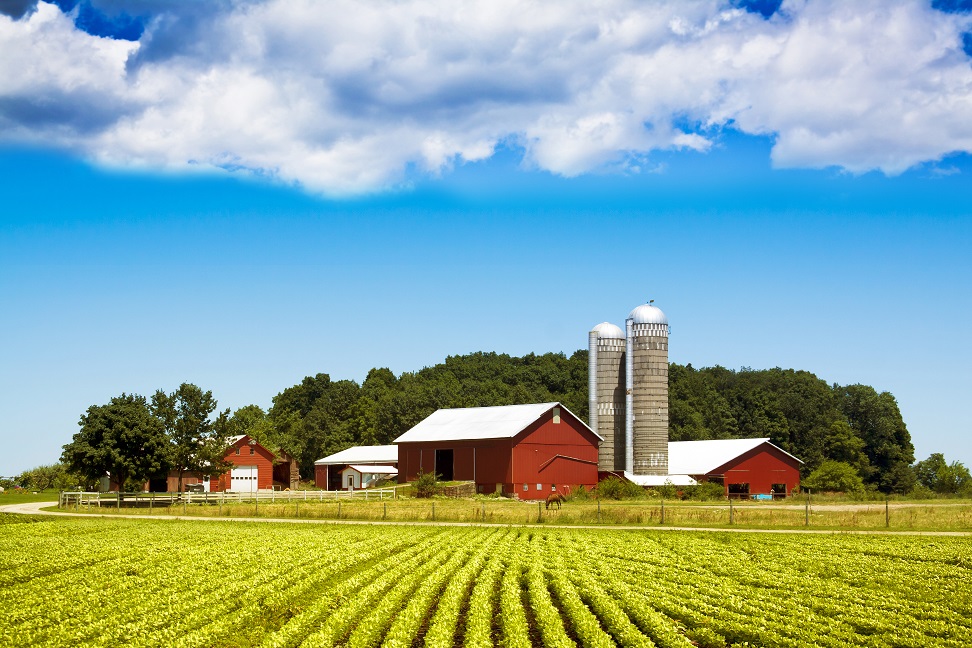Farm in United States