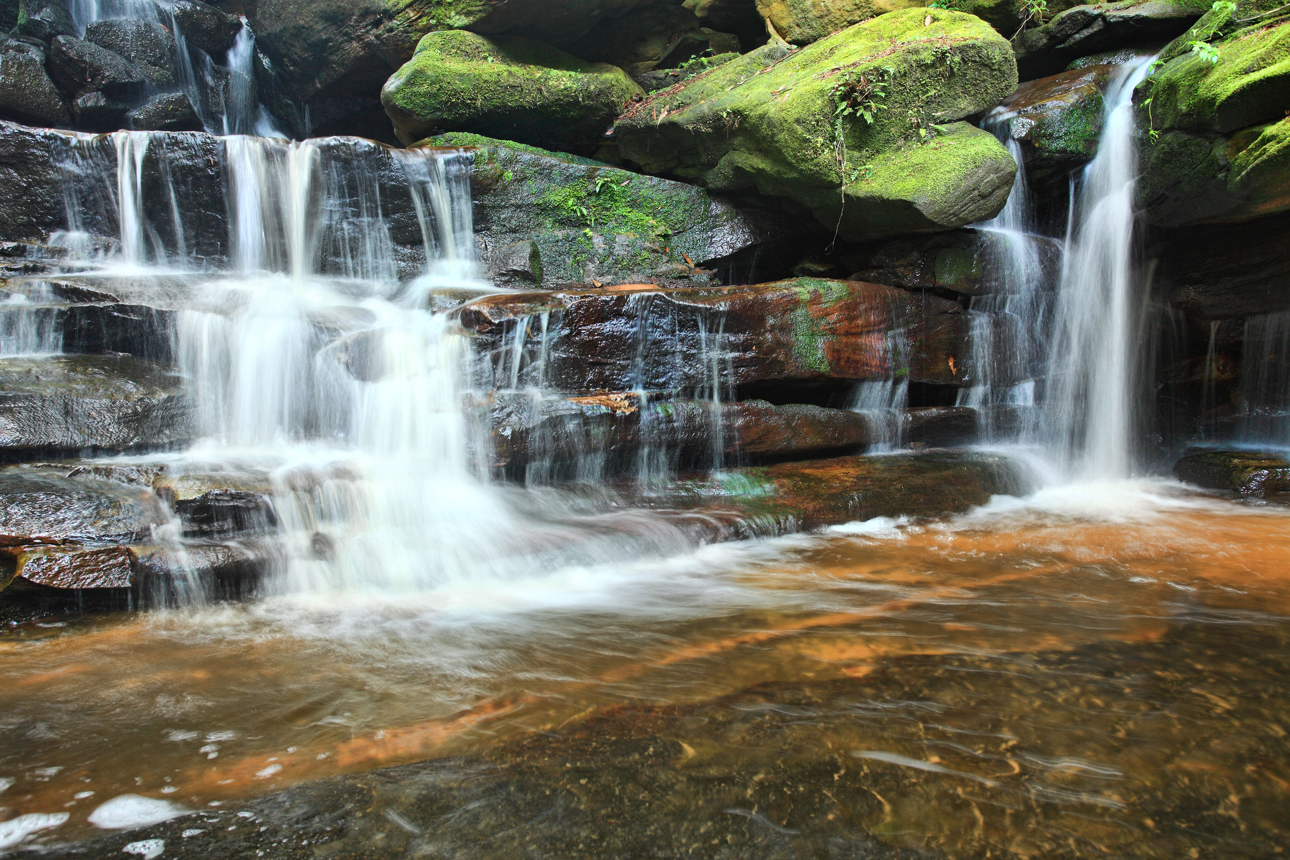 Visit the Natural Bridge of Springbrook National Park Global Medical