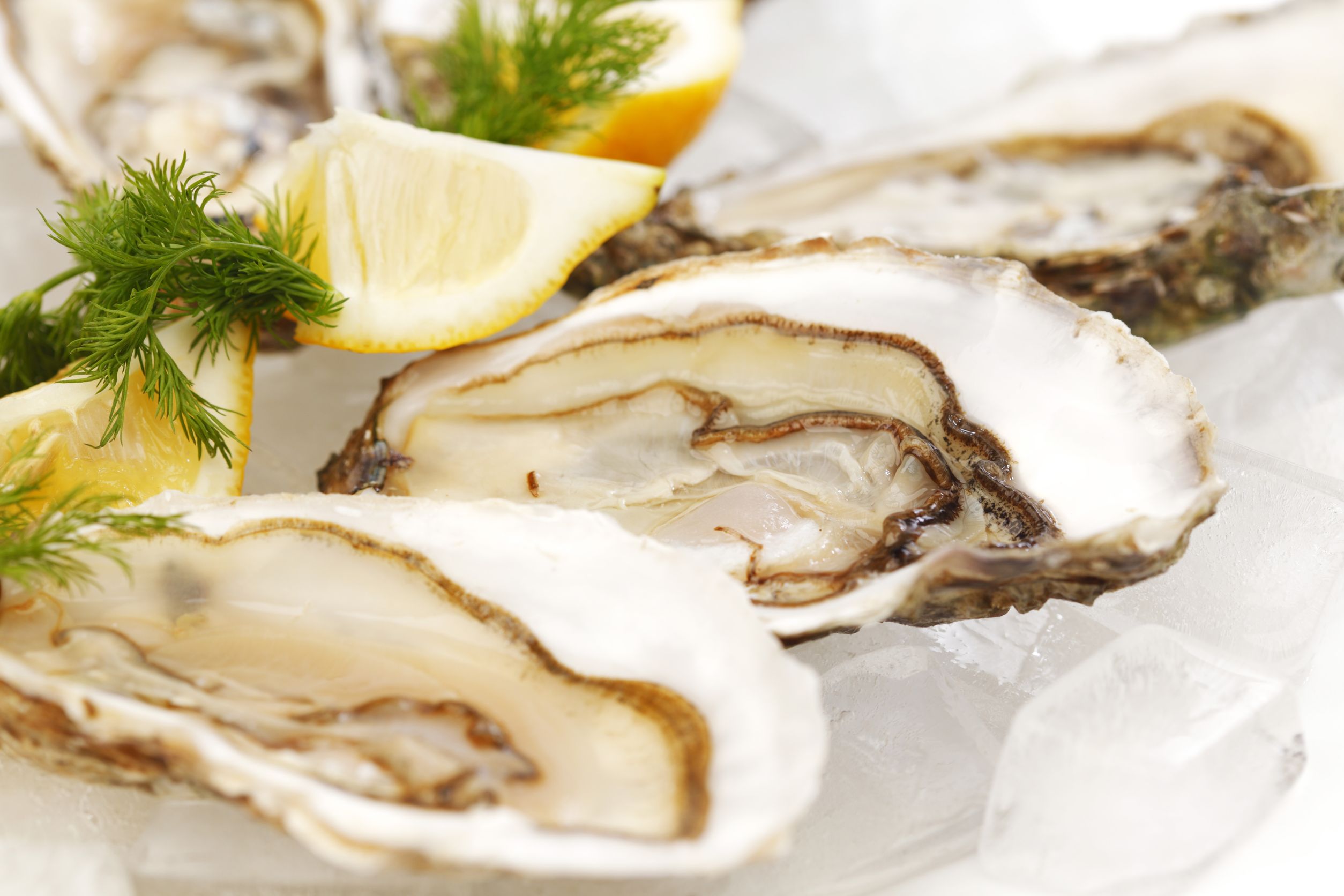 Treat yourself to a New Zealand delicacy: Paua - Global Medical ...