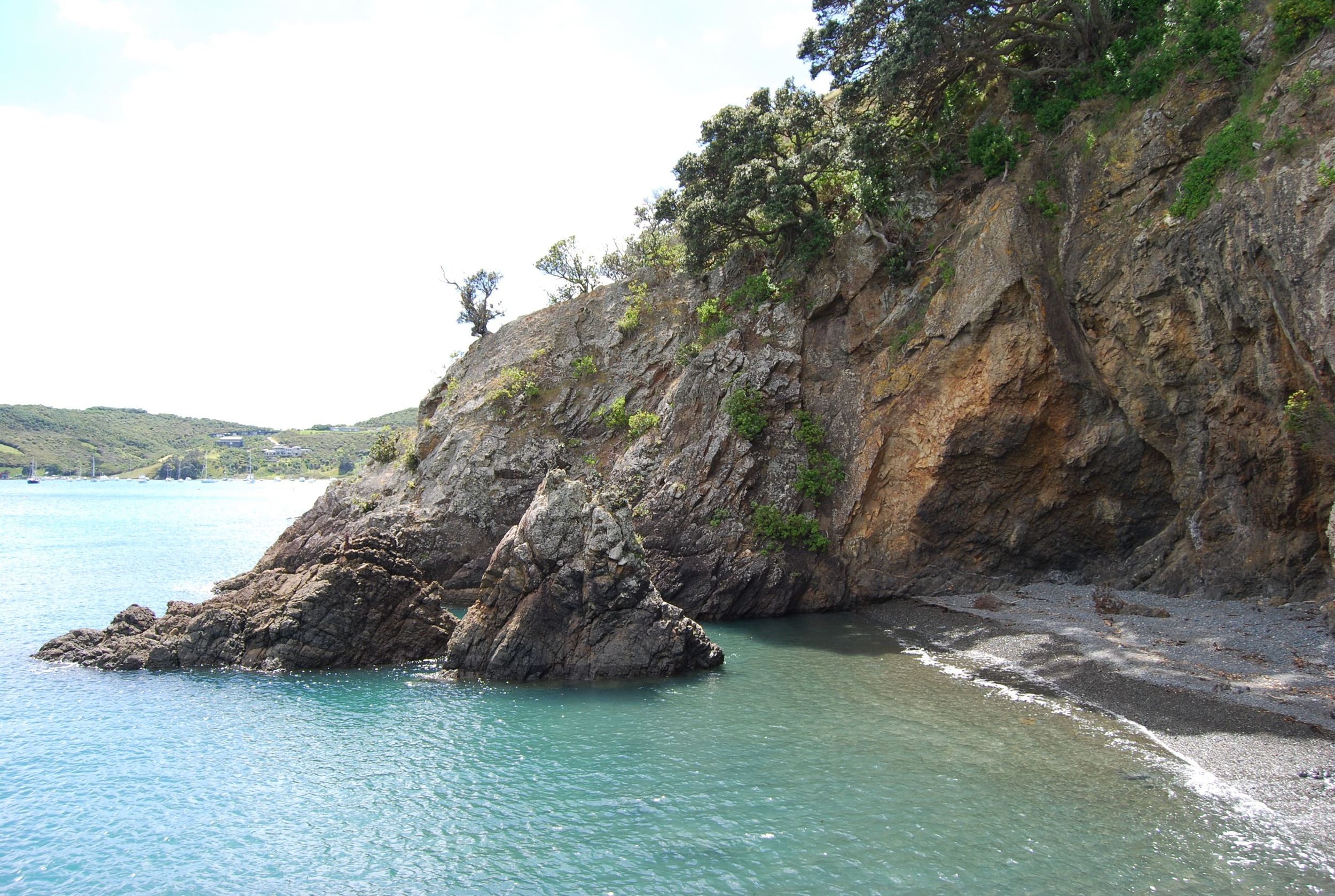 Get Wild on Waiheke in New Zealand Global Medical Staffing Blog