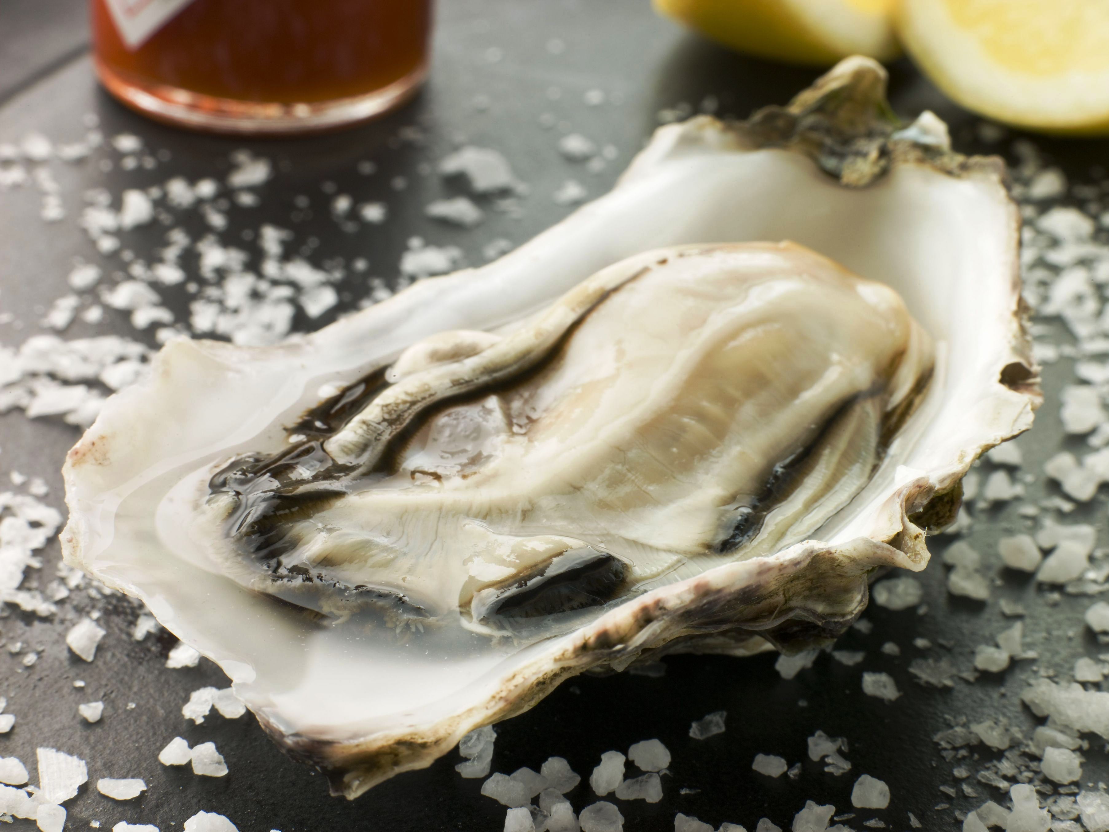 Start your oyster excursion in New Zealand's Marlborough region