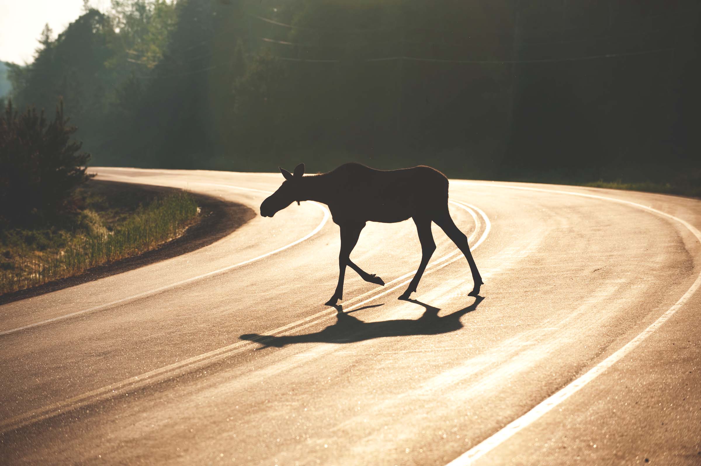 Six misconceptions about Canada