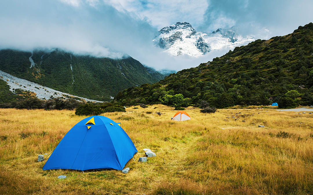 Where exactly can you go camping in New Zealand?