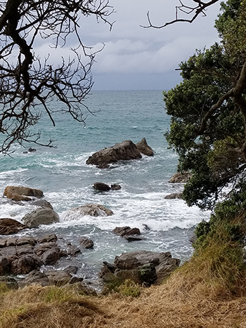 New Zealand shoreline