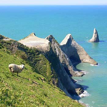 Hawkes Bay New Zealand