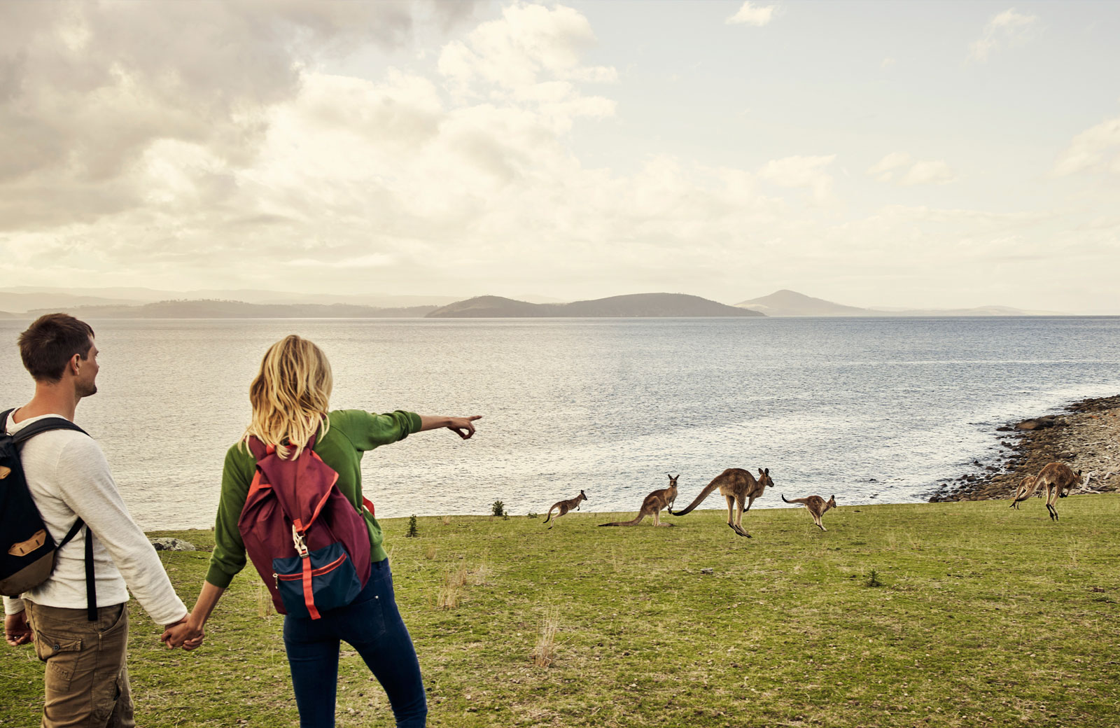 locum tenens in Australia looking at kangaroos