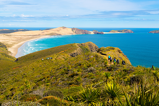 Northern tip of New Zealand