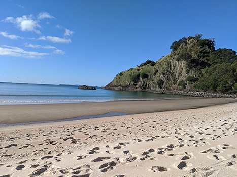 North Island New Zealand beach