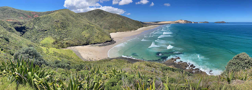 Far North region beach in New Zealand