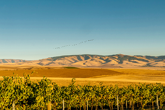 Walla Walla Valley