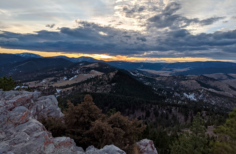 Montana ridge and forest