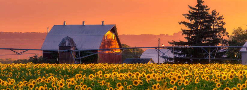 Wisconsin