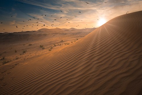 Desert in the UAE