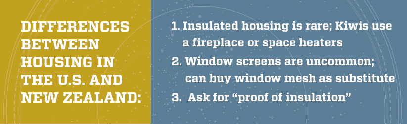 Graphic - housing differences US and NZ