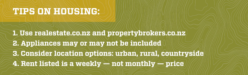 NZ housing tips graphic