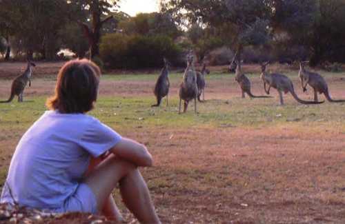 Dr Starkey watching kangaroos in Australia