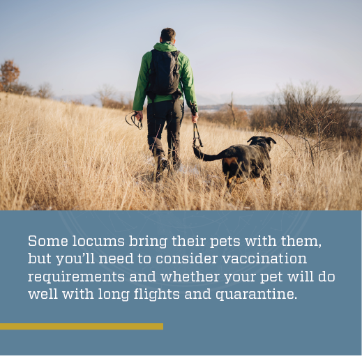 graphic explaining that for those who may want to bring their pets on an international locums assignment, their pets may need to be quarantined and vaccinated