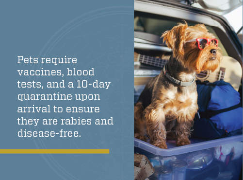 Graphic explaining what’s required to bring pets with you on a locums assignment to NZ