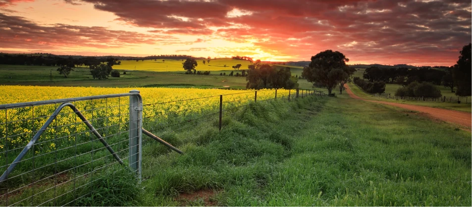 a fenced in field with a sunset in the background